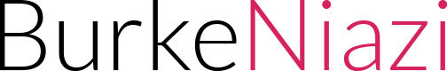 Burke Niazi Limited